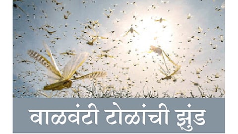 Toldhad