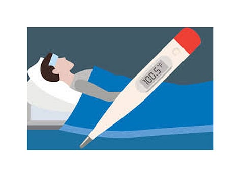 This is the second death of makadtap in Sawantwadi taluka