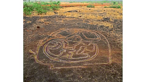 conservation of slaughterhouses from Archeology department