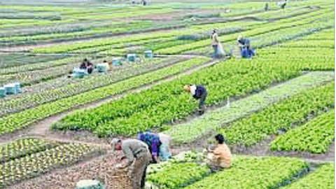 शेतकऱ्यांचा सन्मान करणारी छोटी राष्ट्रे