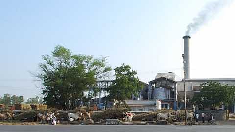 Vitthal Sugar Factory