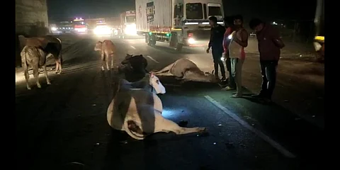 accident