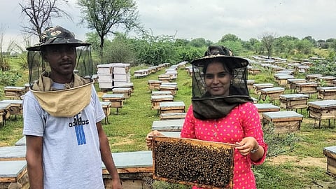 woman successful by doing Beekeeping got Vidarbharatna award
