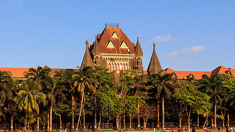 राजकारण्यांच्या तक्रारींची दखल तातडीने घेता तशी सामान्यांच्या तक्रारींची का नाही? उच्च न्यायालयाचा BMC ला सवाल