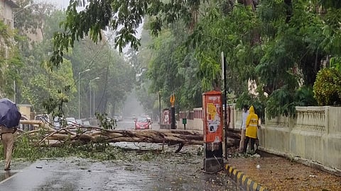नवी मुंबईला चक्रीवादळाचा तडाखा ! अनेक नागरिकांना सुरक्षित स्थळी हलवले