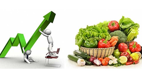 भाजीपाला उत्पादनातून मनपाडळेच्या महिला झाल्या सक्षम