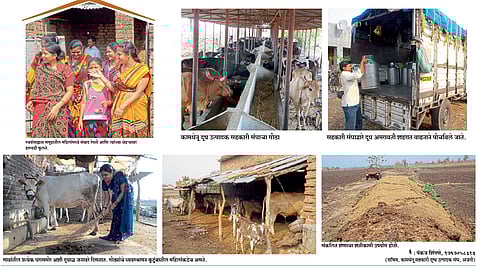 दुग्ध व्यवसायाच्या आधारे अजनी सहकारातून समृद्धीकडे