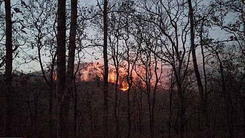 some part of melghat forest caught fire in jamali of amravati