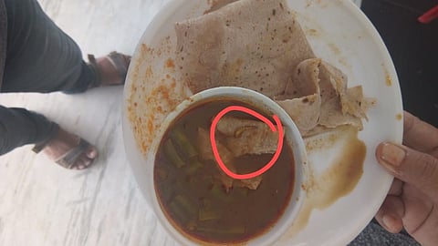 The larvae are found in the food