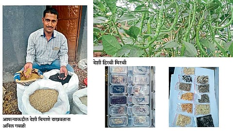 अवलिया तरुणाची ‘बियाणे बॅंक'