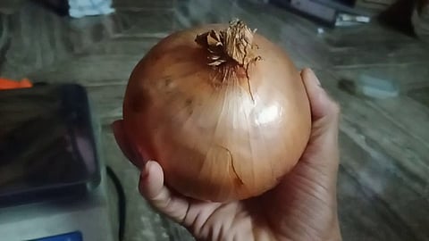 बाजारात आलाय 'बाहुबली' कांदा, एका कांद्याचं वजन आहे...