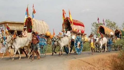 bullock cart existence from marriage stop from 2007 in sangli