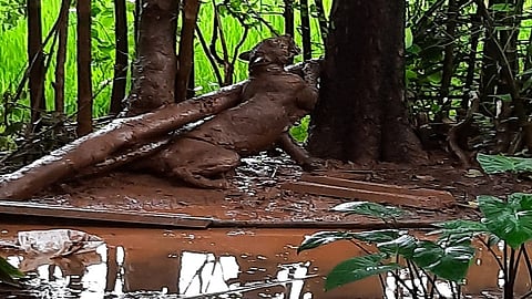 within one hour the leopard escape in cable gates the forest officials rescue in ratnagiri