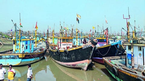 तब्बल 300 मासेमारी नौका बंदरात
