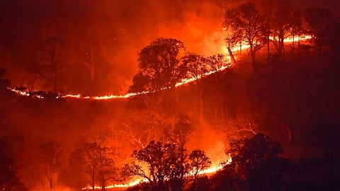 california fire