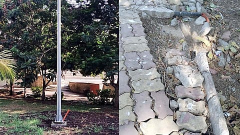 VIDEO : लॉकडाउनमुळे पिंपरी-चिंचवडमधील उद्यानांची 'ही' कामे खोळंबली!