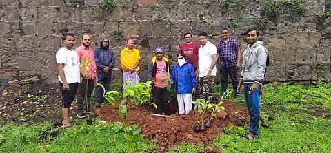 Planted Chafa trees on jotiba hills kolhapur
