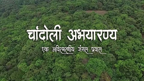 Sangli Tourism Chandoli Sanctuary information
