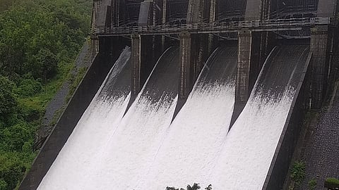 80 TMC reserves in Chandoli, dam filled 88 per cent