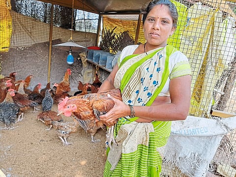 Poultry farming provides employment to women