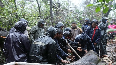 Konkan Agricultural University staff  Shramdan in ten villages