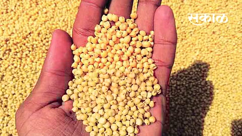 coarse grain will get in 1 rupees in yavatmal