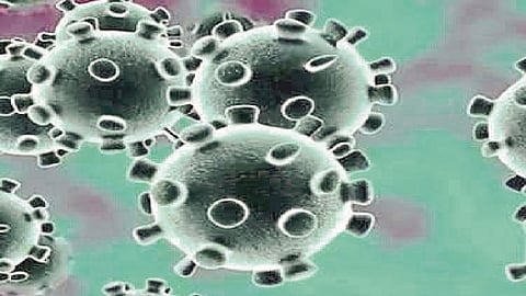 Two thousand new patients found in 25 days in rural areas