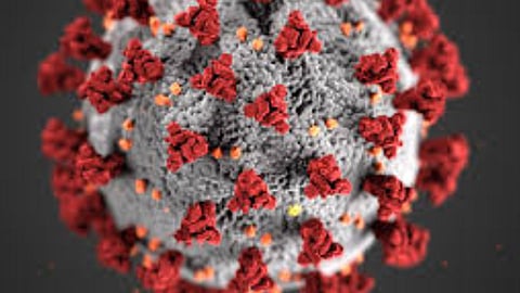 अग्रलेख : गोंधळात गोंधळ!