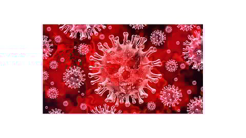 coronavirus impact sindudurg closed kokan marathi news