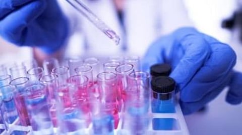 Government and Private corona statistics do not match