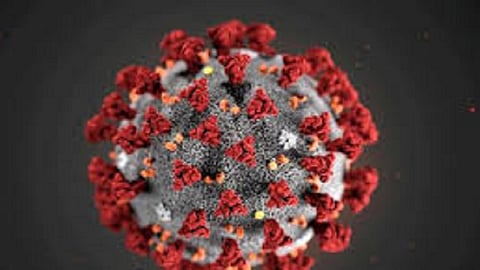Chiplun Police infected coronavirus Two policemen from Chiplun and Alore Shirgaon police stations infected