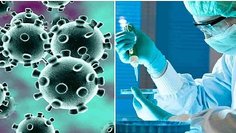 more 8 corona patient found in ratnagiri number of positive patients has gone up to 1299