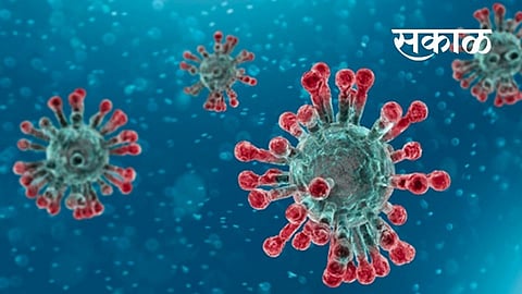 Genetic changes found in the corona virus Yavatmal corona virus news