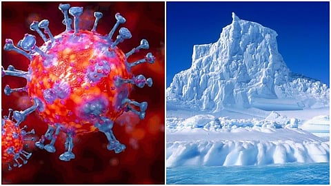 corona virus.