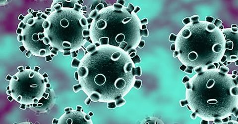 after ockdown lifted in china coronavirus cases rising again in 3 days