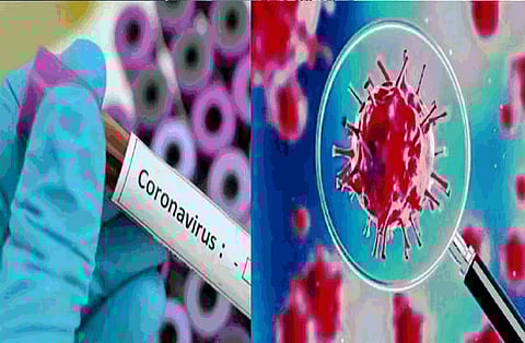 four person dead in two days at sangli borgaon