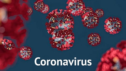 coronavirus