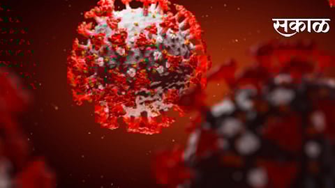 coronavirus