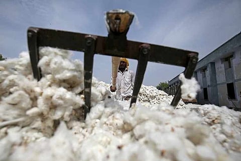 जळगाव जिल्ह्यात सोमवारपासून कापूस खरेदी सुरू