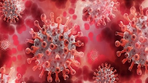 corona patients increased in kolhapur 165 new corona patients cases registered today