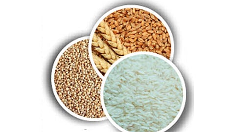 चौदा पिकांसाठी आता दीडपट एमएसपी; केंद्रीय मंत्रिमंडळाची बैठक