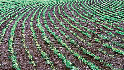 crop-water-conservation