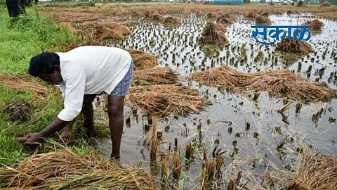 Satara Latest Marathi News