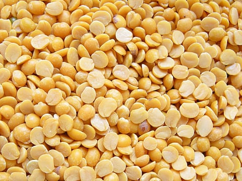Pulses prices are unlikely to rise this year