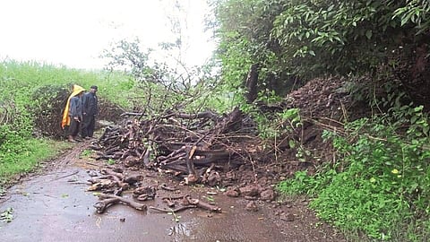 the protective pain collapsed