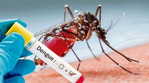 National Dengue Day