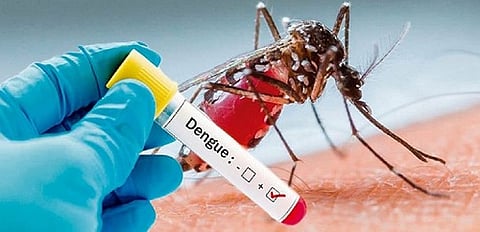 Six dengue patients found in Kadegaon