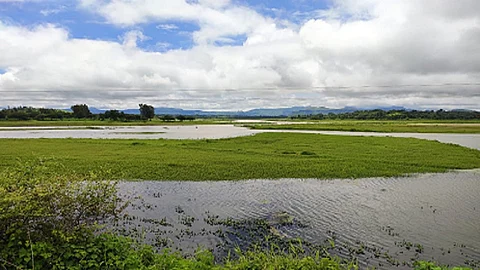 dharan.jpg