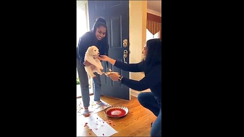 welcome new puppies with traditional ceremonies video viral