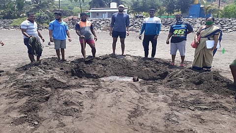 Dolphins death answer Dolphins have low immunity